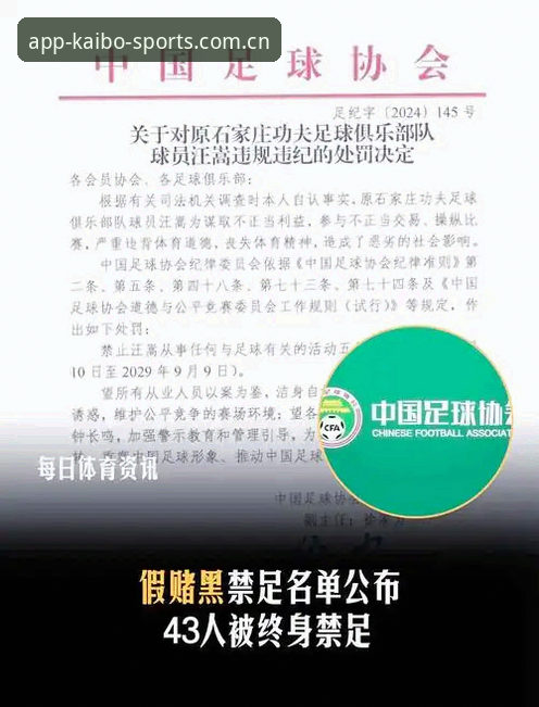 中国足协第三批禁足名单深度评测：行业乱象与开博体育平台用户的思考